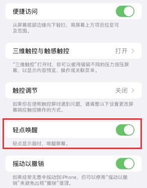 站前苹果授权维修站分享iPhone轻点无法唤醒怎么办 