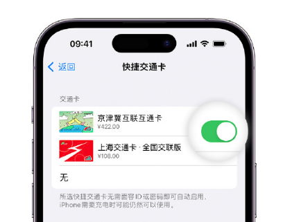 站前apple维修点分享iPhone上更换Apple Pay快捷交通卡手绘卡面 