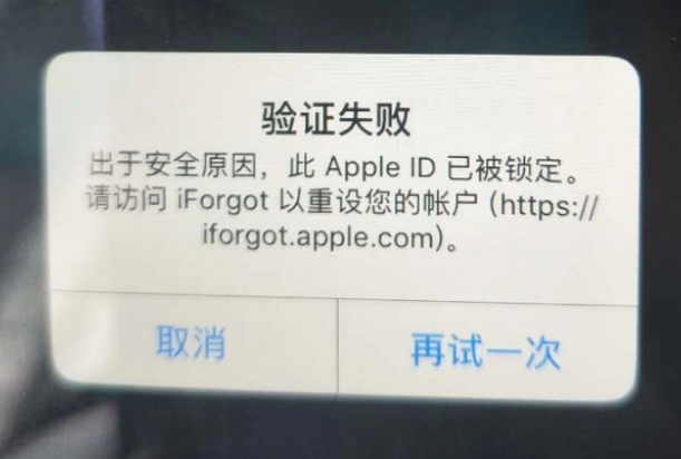 站前iPhone维修分享iPhone上正常登录或使用AppleID怎么办 