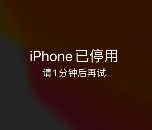 站前苹果手机维修分享:iPhone 显示“不可用”或“已停用”怎么办？还能保留数据吗？ 