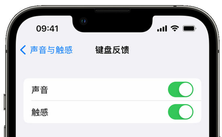 站前苹果手机维修分享iPhone 14触感键盘使用方法 