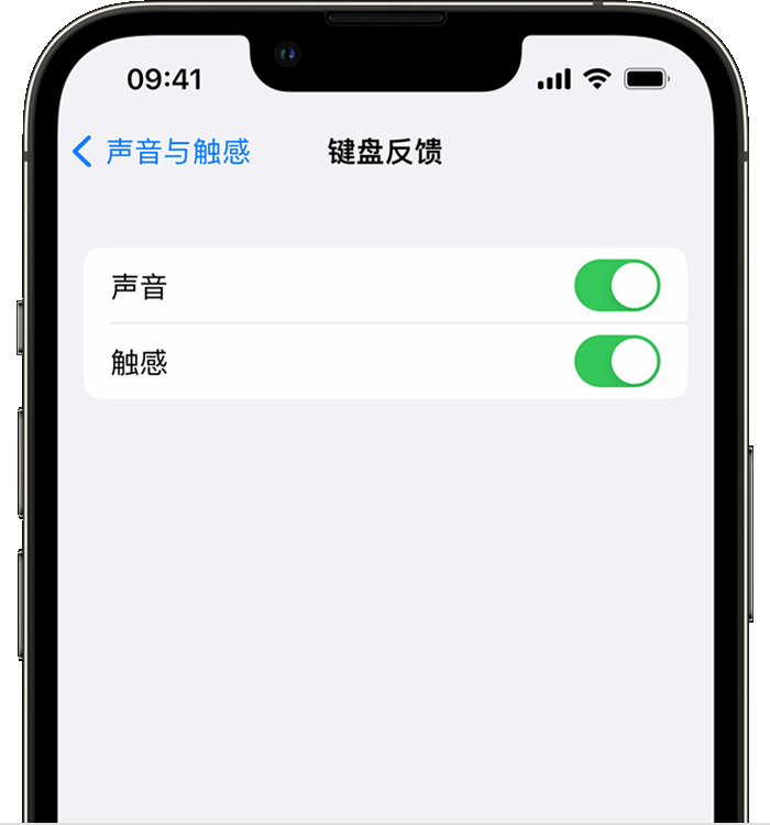 站前苹果14维修店分享如何在 iPhone 14 机型中使用触感键盘 