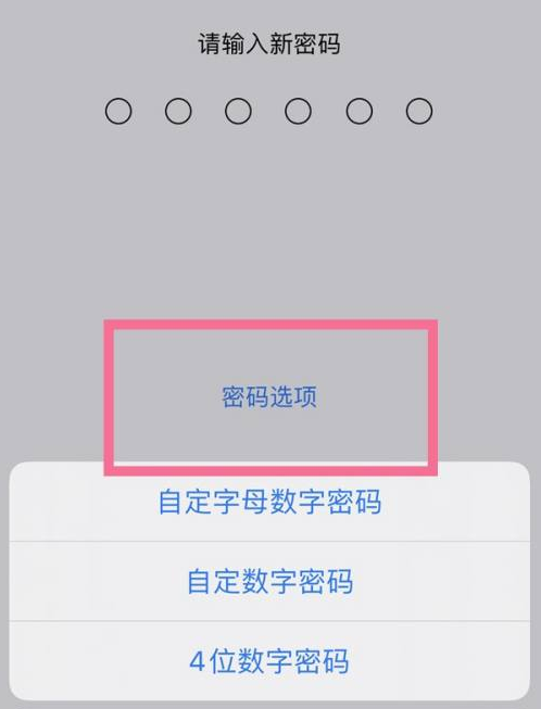 站前苹果14维修分享iPhone 14plus设置密码的方法 