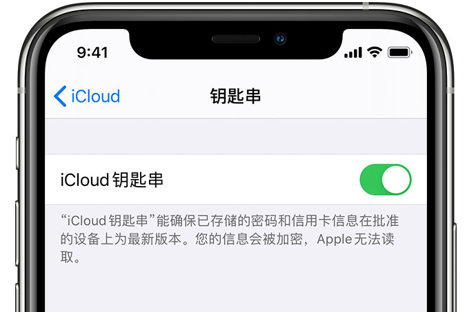 站前苹果手机维修分享在 iPhone 上开启 iCloud 钥匙串之后会储存哪些信息 